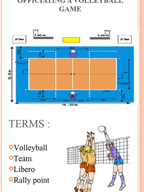 Image result for Volleyball Signals Explained