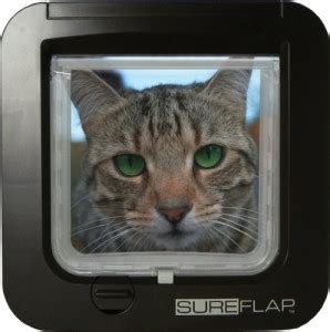 Mikrochip Katzenklappe in Bruckmühl | Tiere | Kleinanzeigen