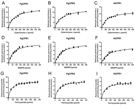Molecular Cloning and Identification of NADPH Cytochrome P450 Reductase ...