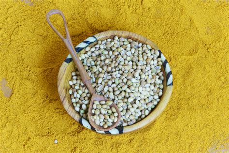 Manna - The Miracle Food That Saved God's People