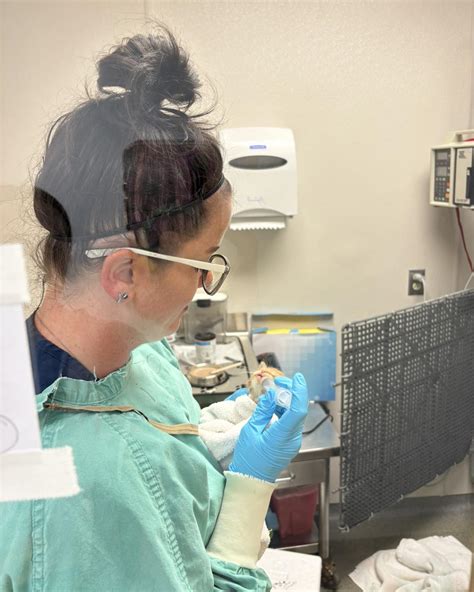 Pitman Animal Hospital (@pitman_animal_hospital) • Instagram photos and ...