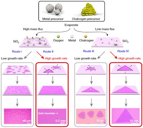 Advances in Two-Dimensional Materials for Optoelectronics Applications