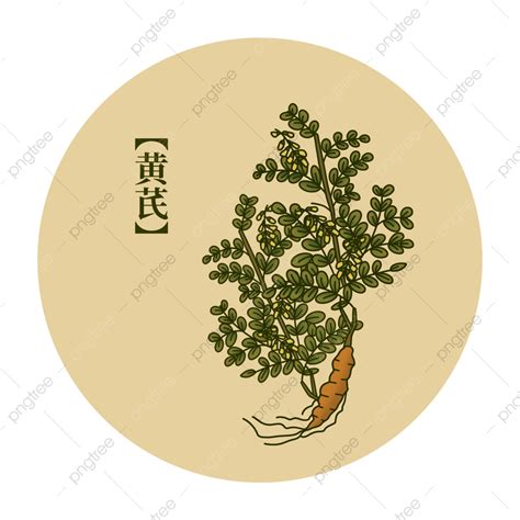 Atlas Elements Of Traditional Chinese Medicine Herbs, Chinese Medicine ...