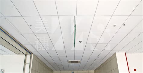 玻璃钢厂家装饰工程案例-惠州市艾帝尔科技有限公司