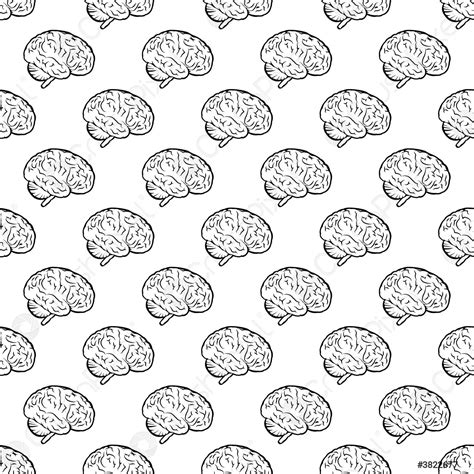 Brain Pattern Vector 的图像结果