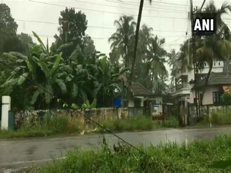 Parts of Kottayam receive rainfall, IMD predicts more rains