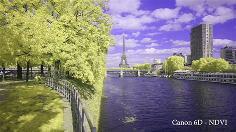 Infrared Video Editing 的图像结果