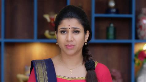 Paarijatham TV Serial Online - Watch Latest Show Episodes on ZEE5