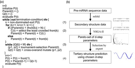 NSGA 2 Python Code 的图像结果