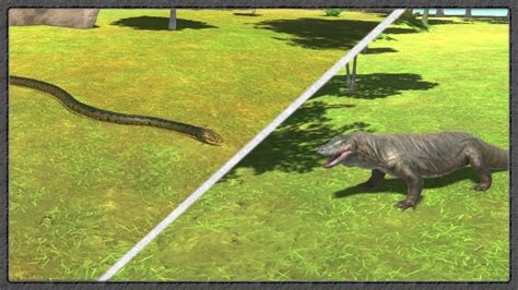 Image result for Python vs Komodo Dragon Video