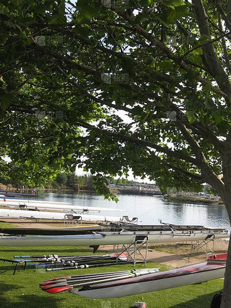 划船比赛 的图像结果