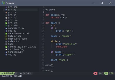 neovim - How can I enable all NvChad features? - Vi and Vim Stack Exchange