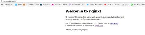 w7 不小心點到連結 說成功安裝了nginx 請問這是? - Mobile01