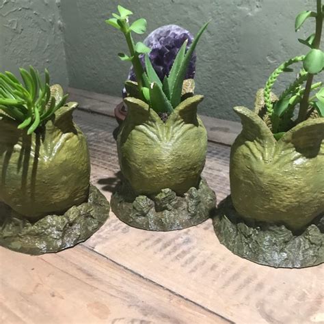 Image result for Alien Egg Planter
