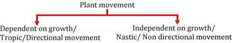 Movement in Plants|Classification,Types, Tropic & Nastic Movements ...