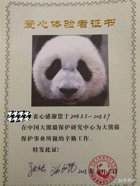 成都必去的旅游景点 大熊猫基地人气最高，都江堰景区值得一看 - 景点