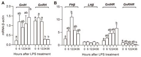 Effects of LPS on the Secretion of Gonadotrophin Hormones and ...