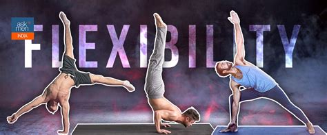 8 Gymnastics Stretching Exercises That Will Improve Your Flexibility ...