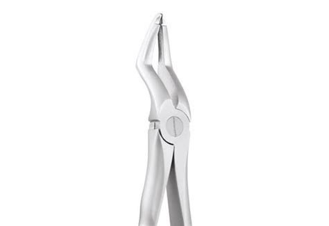 Extraction Forceps Upper Roots 51A Atraumatic – Dental Prod