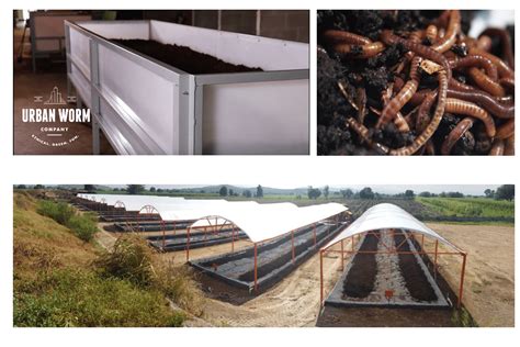 Worm Farming Business 的图像结果