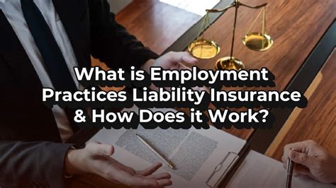 Liability Insurance Example 的图像结果