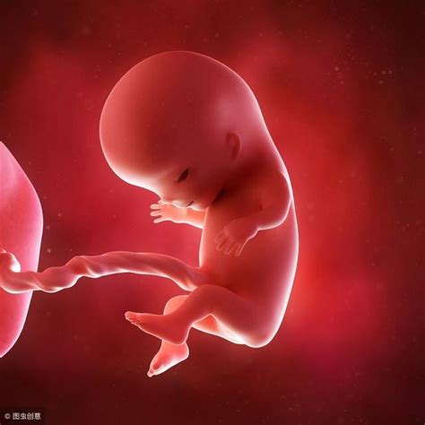 今日35周胎儿可以生了吗视频（35周胎儿可以生了吗）_华夏文化传播网