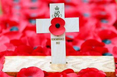 What does the poppy represent? Origins of remembrance symbol and which ...