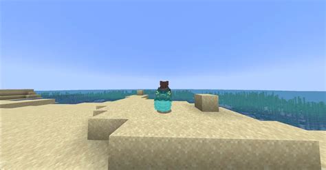 Image result for Black Flamingo Texture Pack Java