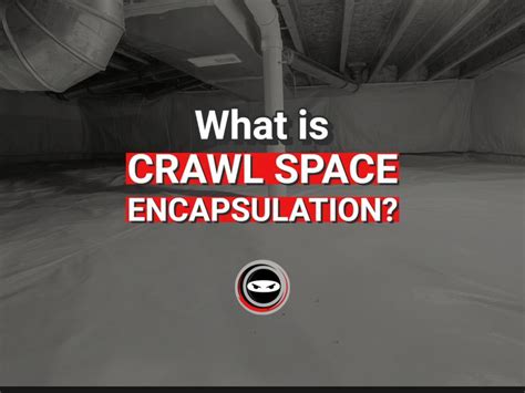 Image result for Problems with Crawl Space Encapsulation