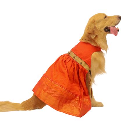 Orange Silk Lehenga – Floof and Co