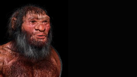 Extinct Human Species List