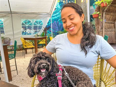 27+ Different Ways to Say Dog in Spanish [Translation and Much More!]