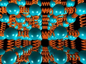 Image result for Spring Ball Model