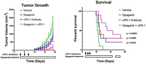 Opaganib (ABC294640) Induces Immunogenic Tumor Cell Death and Enhances ...