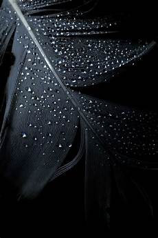Iphone 11 Wallpaper 4k Black by Try Wallpapers For Iphone 6s 6 5s 5 Iphone 11 Wallpaper 4k Black