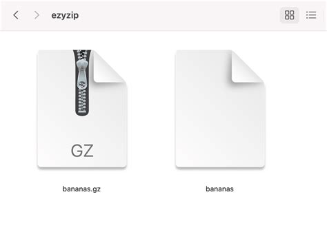 Image result for Open Gz File Windows 1.0