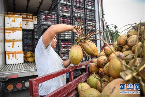 探访椰子制品cococean上海首店：现场点单排队约30分钟，主要客群为年轻女白领 | Foodaily每日食品