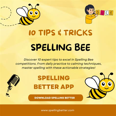 Today's NYT Pangram Answers & Spelling Bee Solutions – Updated Daily ...
