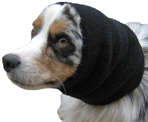 Happy Hoodie For Groomers