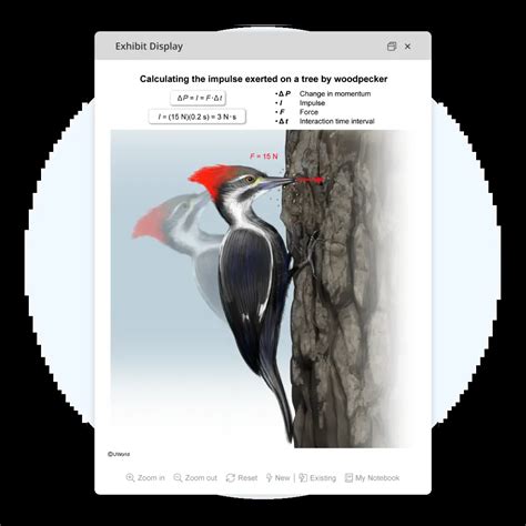 AP® Physics 1 Practice Tests, Exams & Questions | FRQs & MCQs