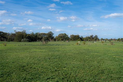 2025’s Best Fenced Dog Parks in Melbourne: Safe & Secure