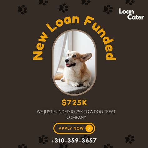 Fueling Success: How Our Loans Empower Dog Treat Companies - Loancater