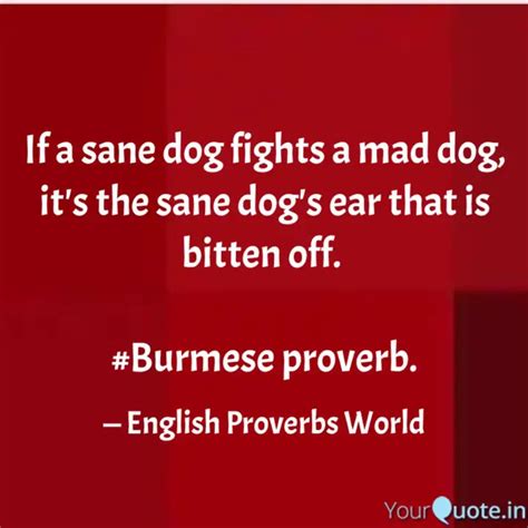 If a sane dog fights a ma... | Quotes & Writings by Proverbs World ...