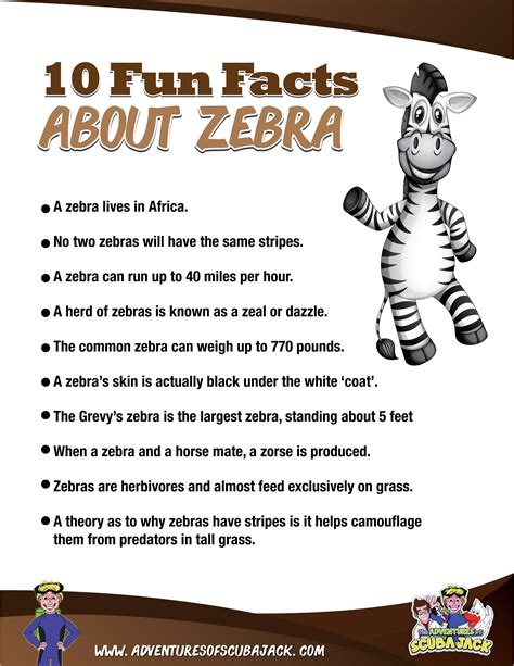 Three Interesting Facts About Zebras at Robert Keck blog
