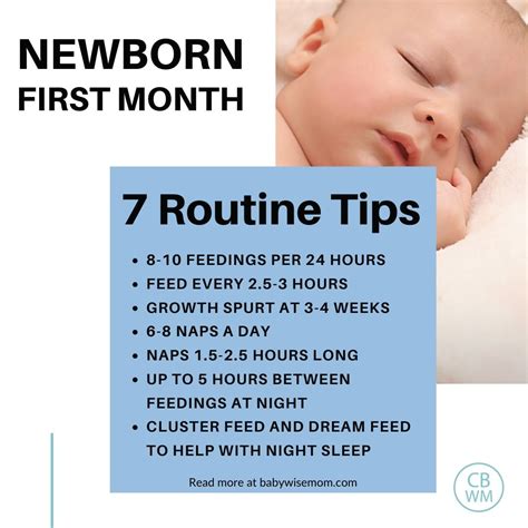 Newborn Sleep Schedule First Week at Frank Keith blog
