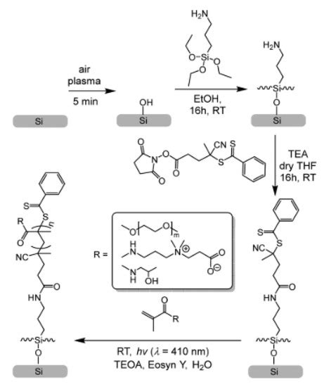 New Light in Polymer Science: Photoinduced Reversible Addition ...
