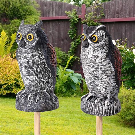Buy Plastic Owl to Keep Birds Away,Owl Scarecrows for Bird Control for ...