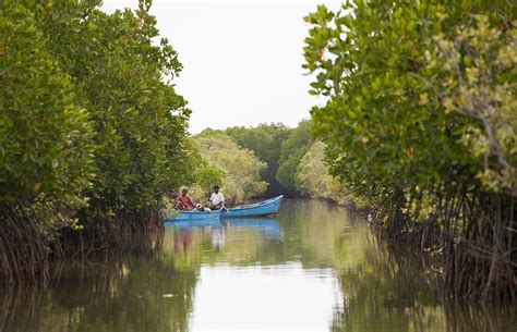 Three Men On A Boat | Nature inFocus