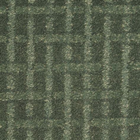 STAINMASTER Chateau Avalon 8 X 10 (ft) Pristine Point Solid Area Rug at ...