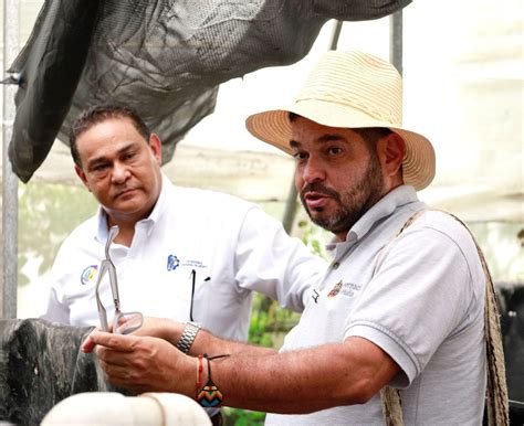 Huila y México estrechan lazos de cooperación para fortalecer la ...